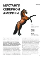 Лошади — изображение 13