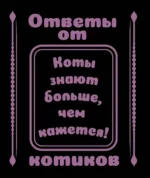 Ответы от котиков — изображение 2