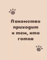 Ответы от котиков — изображение 14