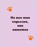 Ответы от котиков — изображение 4