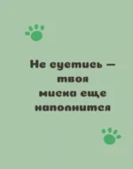 Ответы от котиков — изображение 6