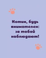 Ответы от котиков — изображение 8