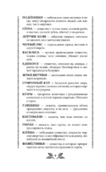 Мы придем из видений и снов — изображение 7