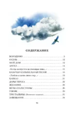 Бородино. Поэма и стихотворения — изображение 3