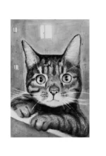 Счастливый хвост — счастливый я! Рассказы о котах и кошках — изображение 11