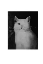 Счастливый хвост — счастливый я! Рассказы о котах и кошках — изображение 12