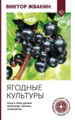 Ягодные культуры. Уход и сбор урожая винограда, малины, смородины. Виктор Жвакин