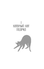 Который кот подряд — изображение 5