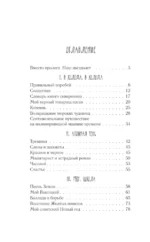 Последний пионер — изображение 3