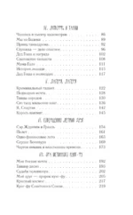 Последний пионер — изображение 4
