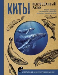 Киты. Неизведанный разум. История эволюции и новейшие исследования интеллекта морских гигантов. Алексей Аскаров