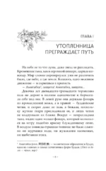Путешествие цветка. Книга 1 — изображение 7