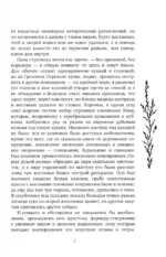 Грозовой перевал — изображение 7