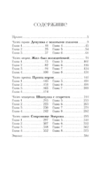 Амалия и Принц воров — изображение 4
