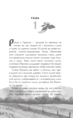 Сорочье гнездо — изображение 4