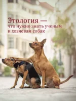 Ключ к характеру вашей собаки. Как через игру понять мышление питомца и раскрыть его потенциал — изображение 9