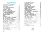 Смешные рассказы маленького мальчика — изображение 4