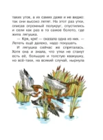 Лягушка-путешественница и другие сказки — изображение 7