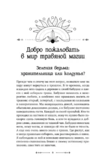 Магия трав и растений. Зеленое волшебство в твоих руках: рецепты, свечи, лунные ритуалы — изображение 8