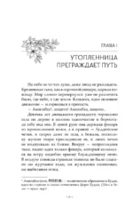 Путешествие цветка. Книга 1 — изображение 6