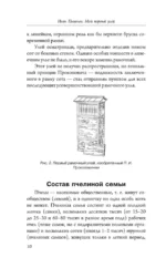 Мой первый улей. Практическое руководство для начинающих пчеловодов — изображение 11
