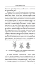 Мой первый улей. Практическое руководство для начинающих пчеловодов — изображение 12