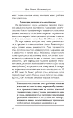 Мой первый улей. Практическое руководство для начинающих пчеловодов — изображение 13