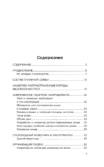 Мой первый улей. Практическое руководство для начинающих пчеловодов — изображение 4
