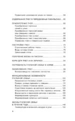 Мой первый улей. Практическое руководство для начинающих пчеловодов — изображение 5
