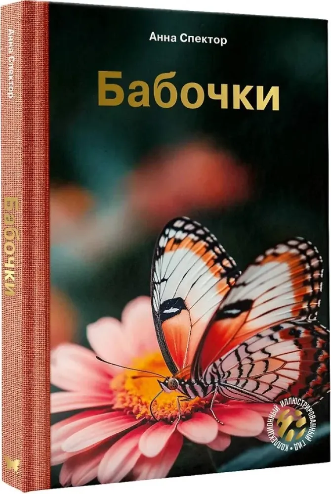 Бабочки — Животные