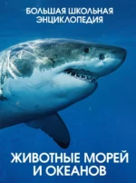 Животные морей и океанов. Большая школьная энциклопедия. Кристин Балле