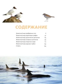 Животные морей и океанов. Большая школьная энциклопедия — Детская познавательная литература