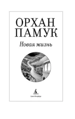 Новая жизнь — изображение 2