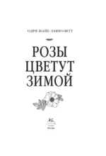 Розы цветут зимой — изображение 2