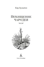 Похищение чародея — изображение 3