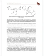 Лось как он есть и как его съесть — изображение 6