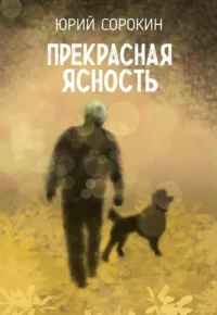 Прекрасная ясность. Юрий Сорокин