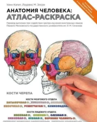 Анатомия человека: атлас-раскраска. КЭПИТ У., ЭЛСОН Л.