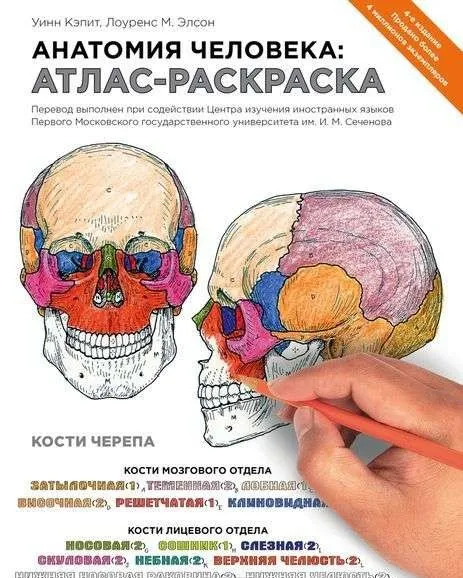 9785699715060_0-1.webp Анатомия человека: атлас-раскраска. КЭПИТ У., ЭЛСОН Л.