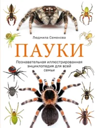 Пауки. Познавательная иллюстрированная энциклопедия для всей семьи. Людмила Семенова
