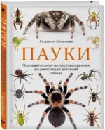 Пауки. Познавательная иллюстрированная энциклопедия для всей семьи — изображение 2