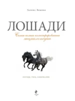 Лошади. Самая полная иллюстрированная энциклопедия — изображение 4