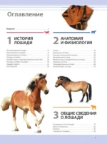 Лошади. Самая полная иллюстрированная энциклопедия — изображение 5