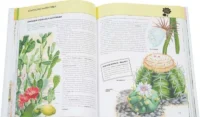Растения. Полная энциклопедия — Детские энциклопедии