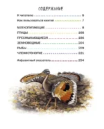 Все животные с крупными буквами — изображение 3