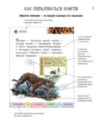 Все животные с крупными буквами — изображение 5
