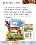 Все животные с крупными буквами — изображение 6