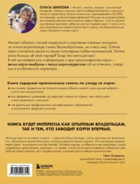 Великолепные корги. Все о породах вельш-корги-пемброк и вельш-корги-кардиган — Животные