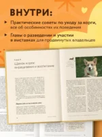 Великолепные корги. Все о породах вельш-корги-пемброк и вельш-корги-кардиган — изображение 4