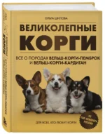 Великолепные корги. Все о породах вельш-корги-пемброк и вельш-корги-кардиган — изображение 6